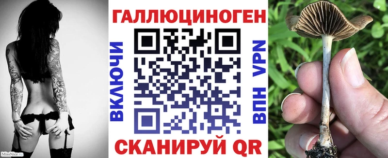 Галлюциногенные грибы ЛСД  где купить наркотик  Вичуга 